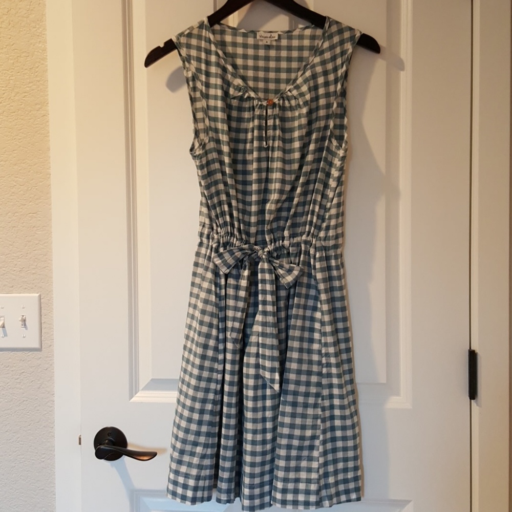 Steven Alan designer dress